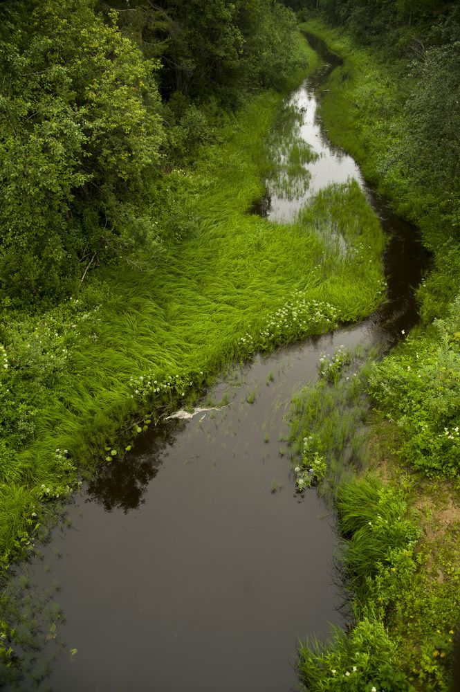 Photograph by Tatiana Troitskaya