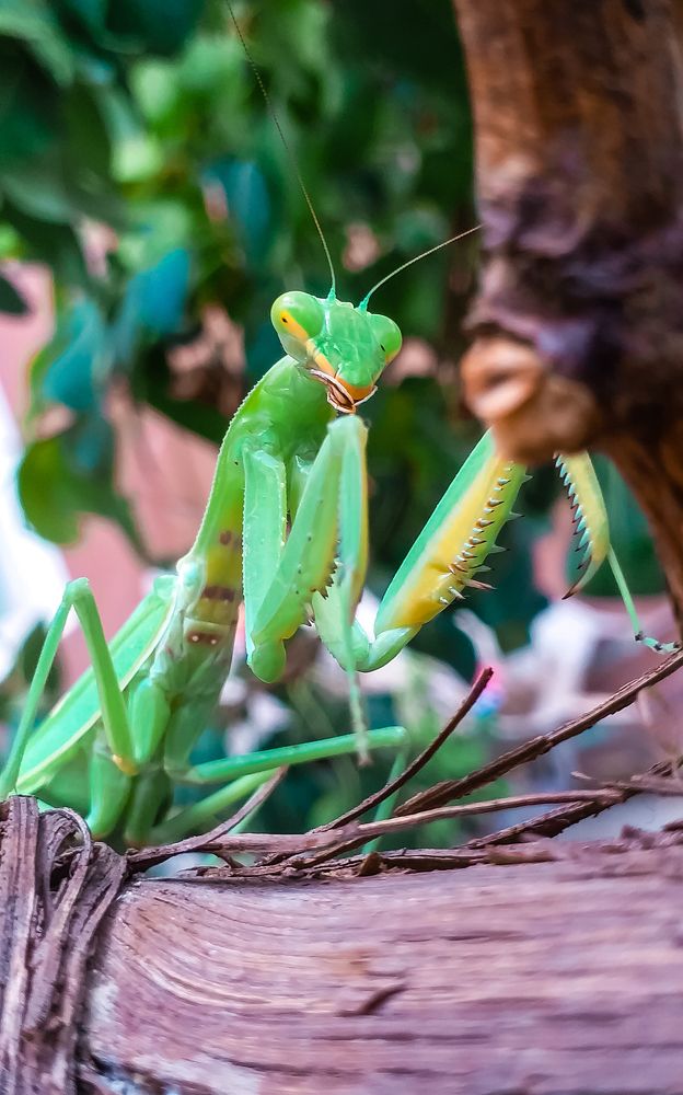 Фотография автора Faqirzada Sameer