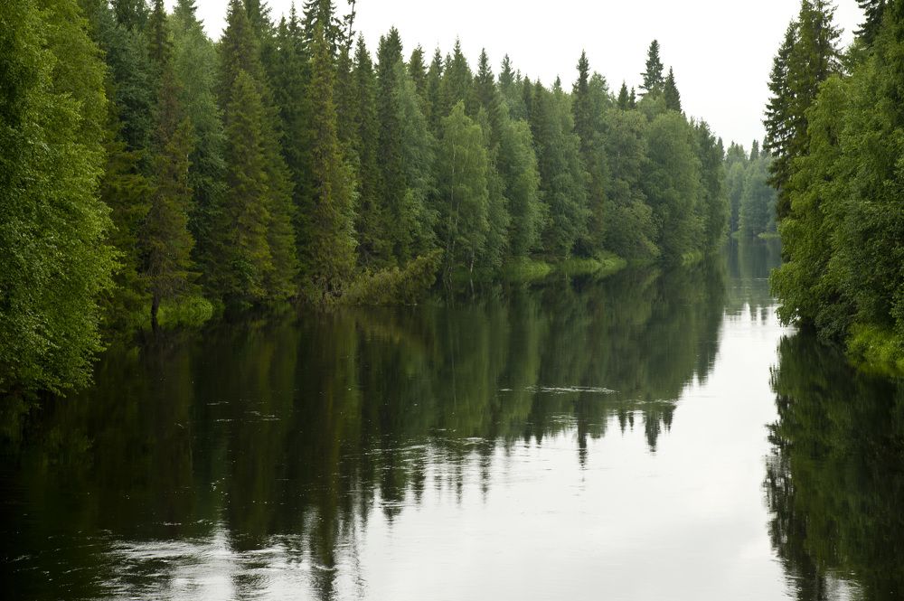 Photograph by Tatiana Troitskaya