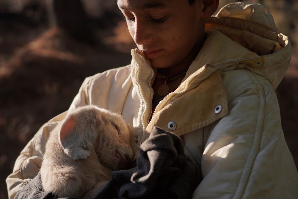 Photograph by sathyanarayanasingh prithiviraj