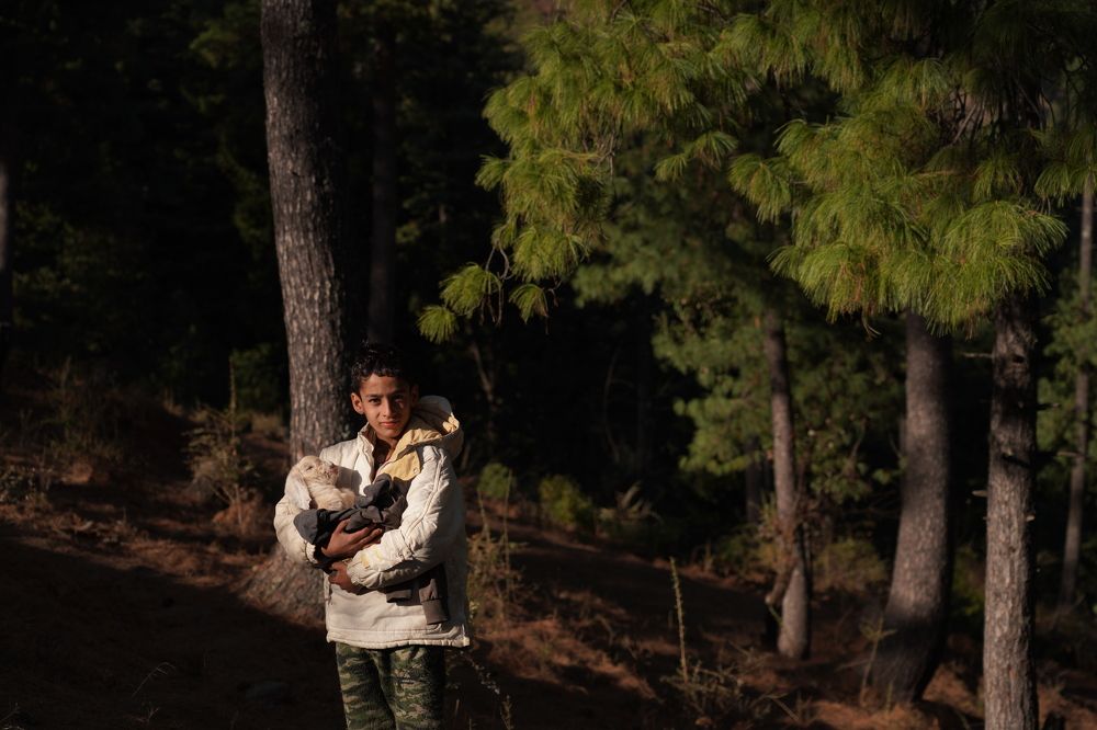 Photograph by sathyanarayanasingh prithiviraj