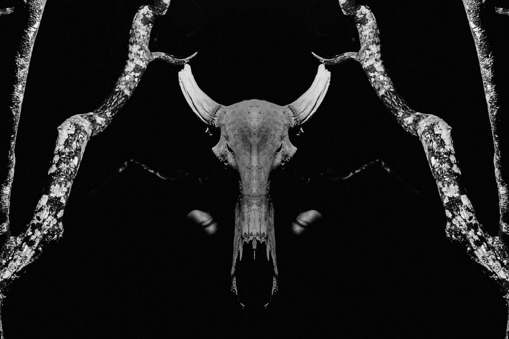 Photograph by Noble John