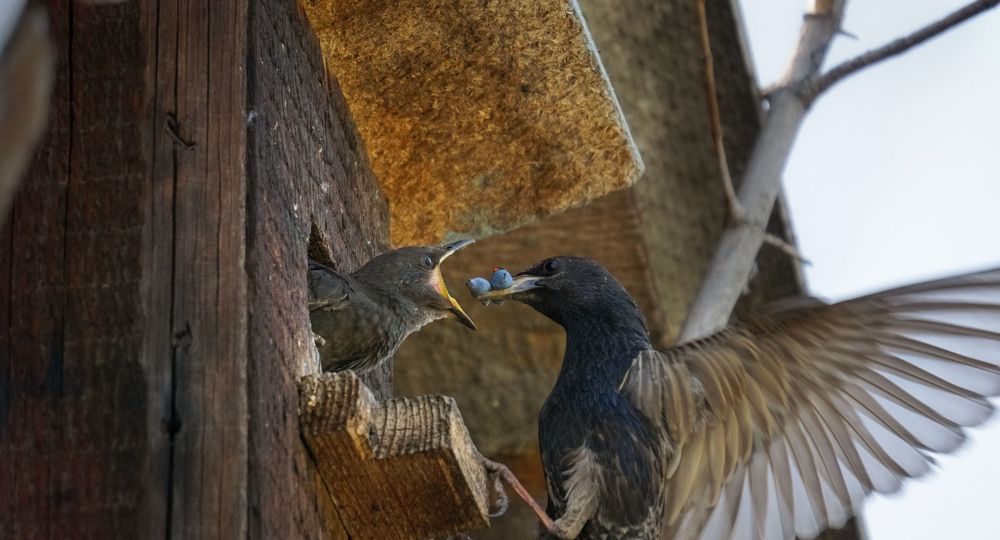 Photograph by Slesareva Nina