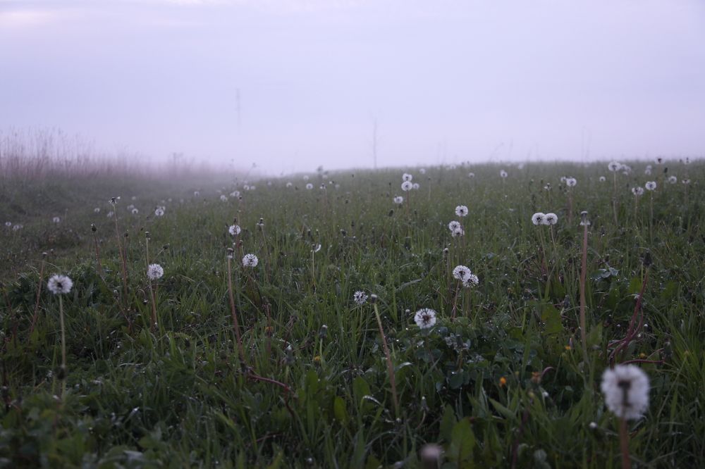 Photograph by Marina Novak