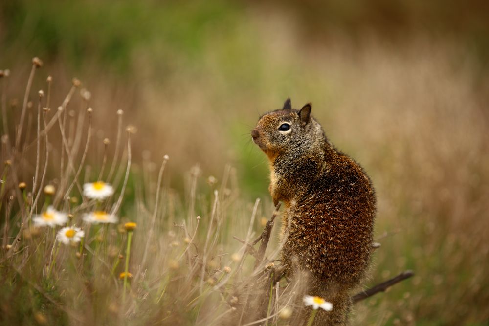 Photograph by Brandon