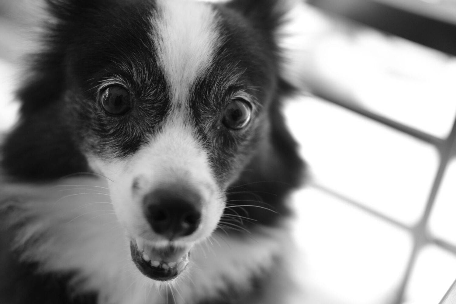 Photo #6190058