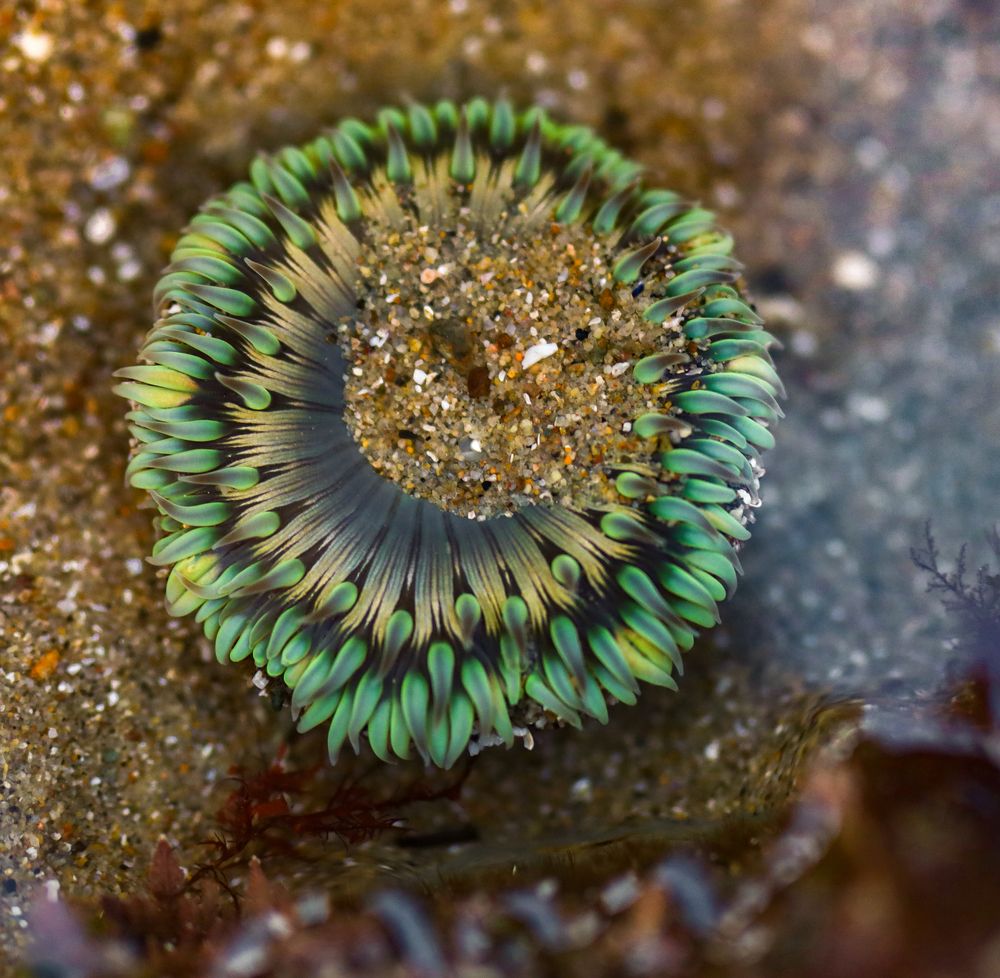 Photograph by Brandon