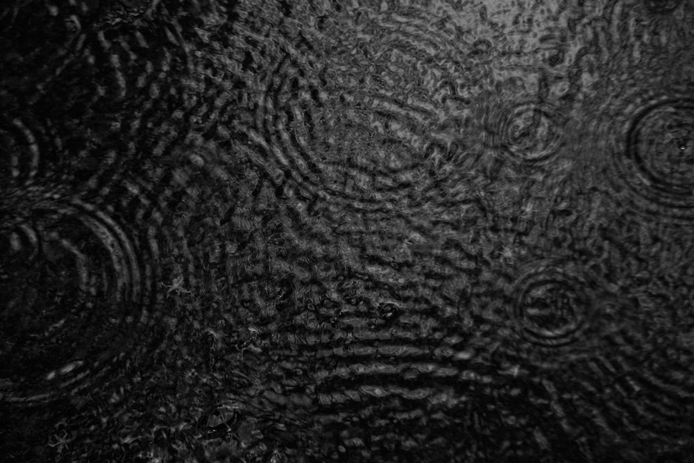 Photograph by Noble John