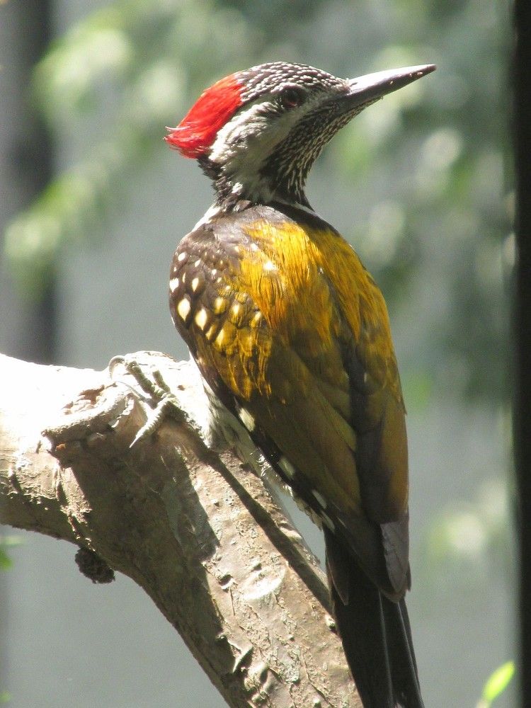 Photograph by Sougata Bhar