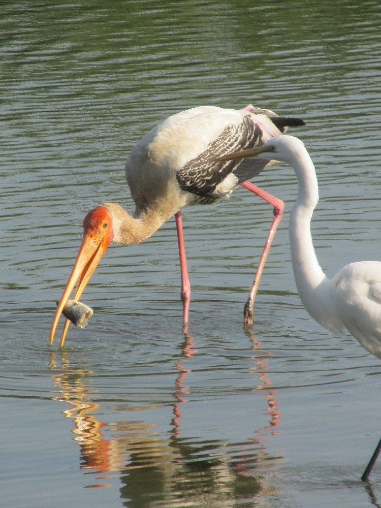 Photograph by Sougata Bhar