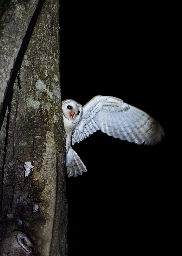 Photograph by Biplab das