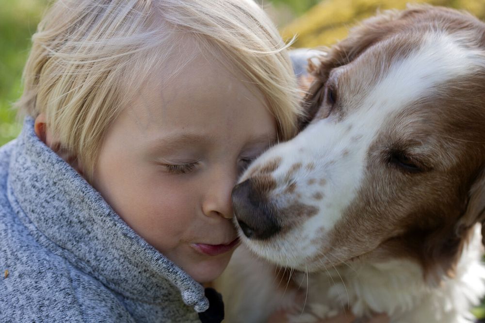 Photograph by Liudmila Drake