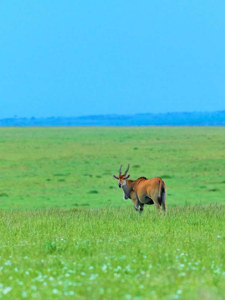 Photograph by Renny Poulose