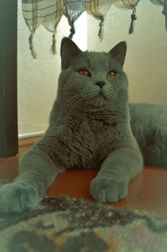 Photograph by Дарья Миронова