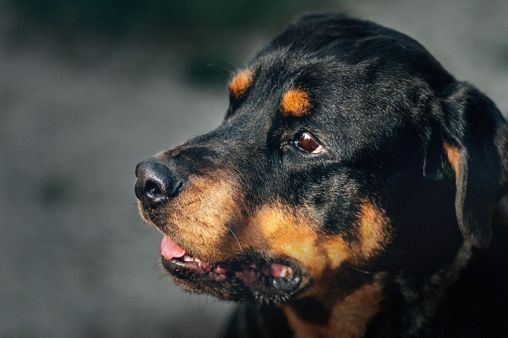 Photograph by Liga KALNINA