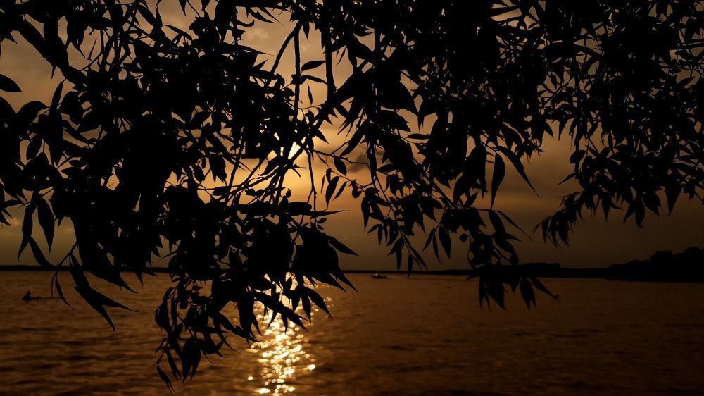 Photograph by Виктор Литошик