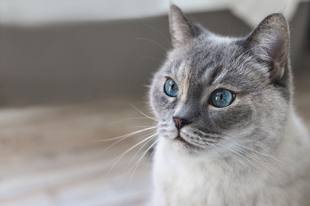 Photograph by Liga KALNINA