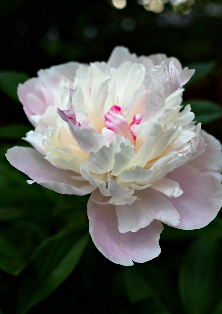 Фотография автора Дмитрий Климов