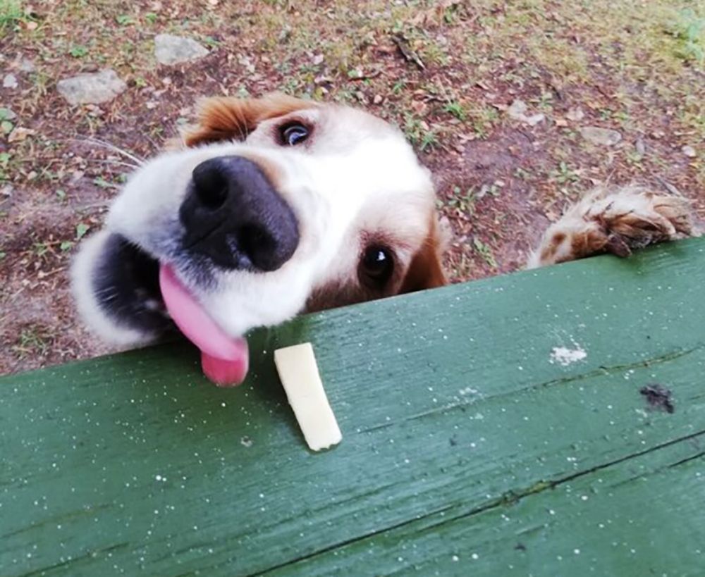 Photograph by Liudmila Drake