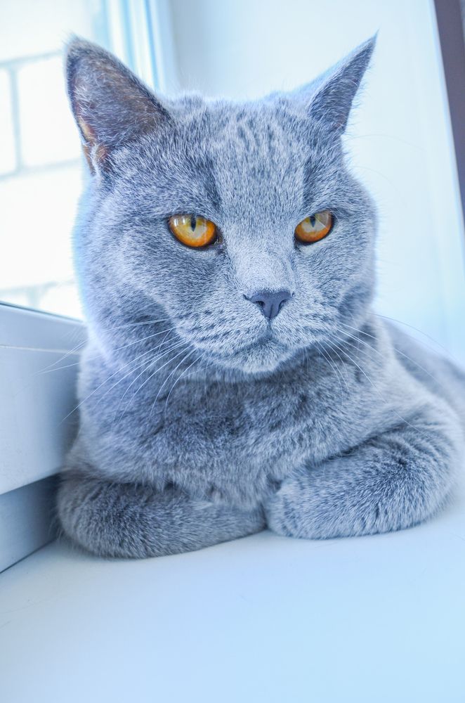 Photograph by Дарья Миронова