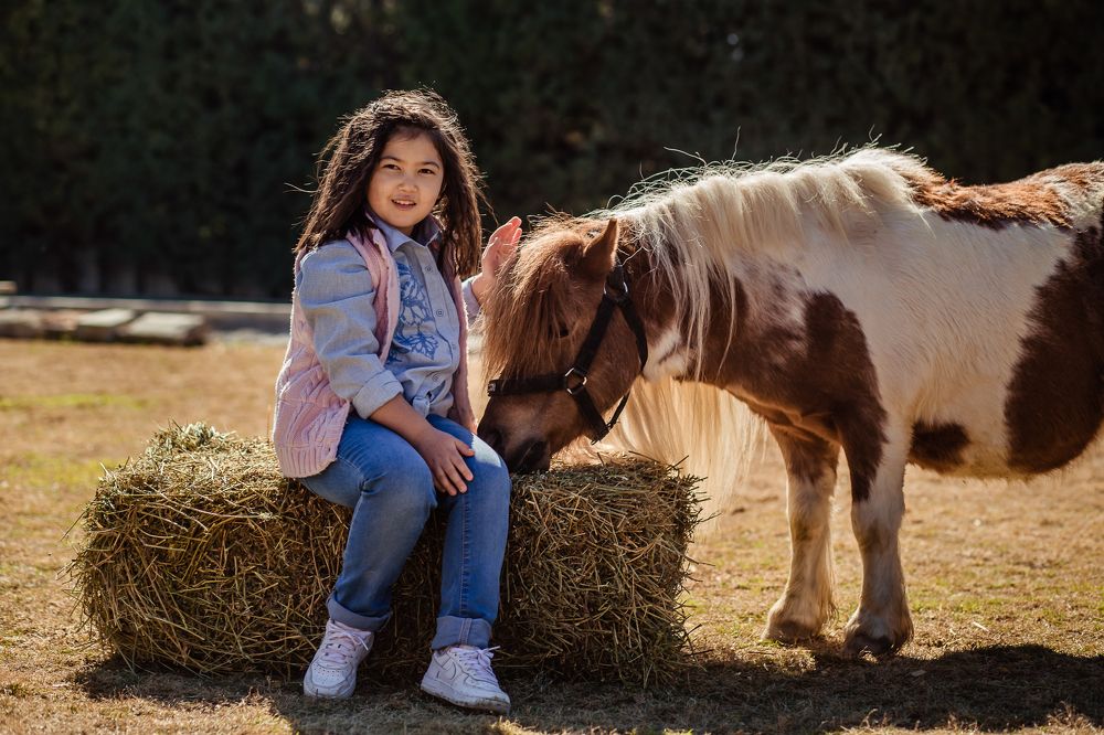 Photograph by Ирина Эрон