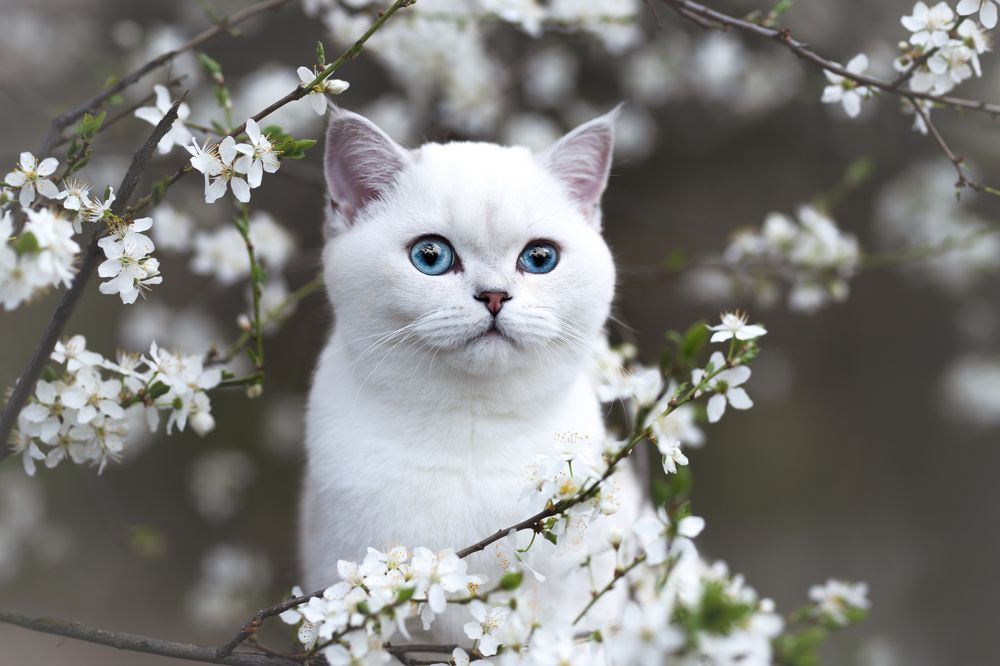 Photograph by Veronika Blažeková