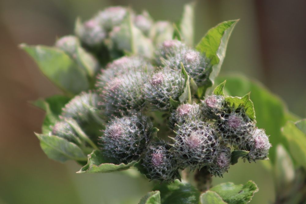 Photograph by Денис Геранькин