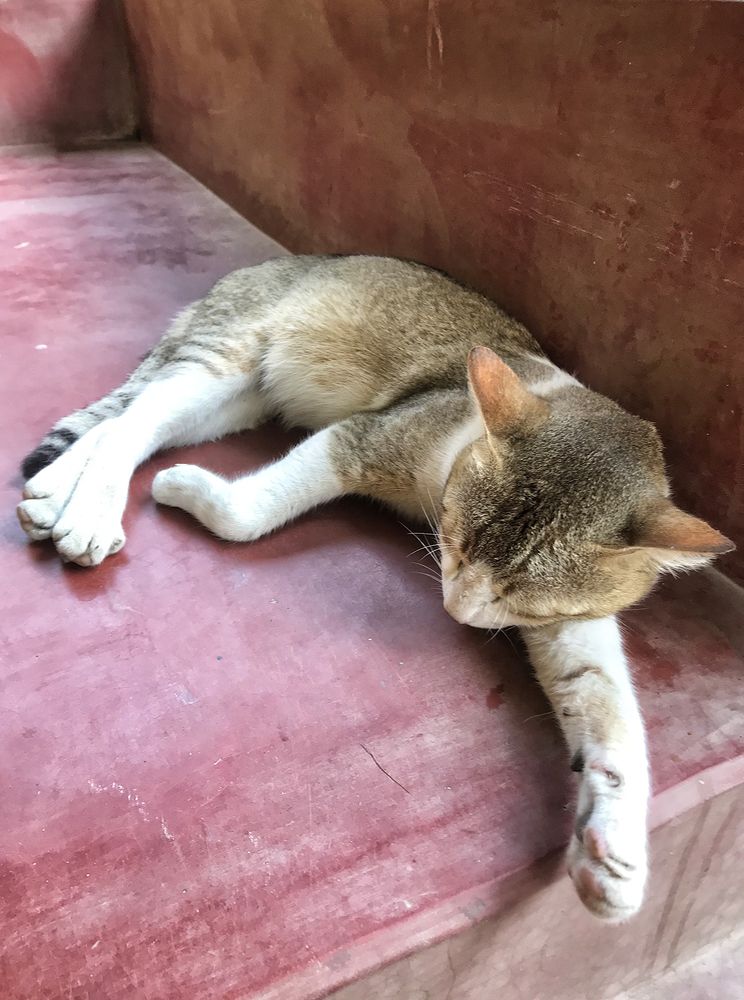 Photograph by Kaushik Dolui