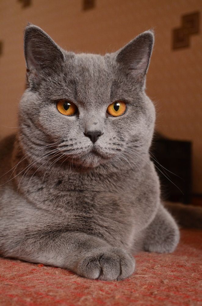 Photograph by Дарья Миронова