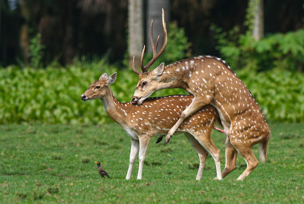 Photograph by Samsul Huda Patgiri