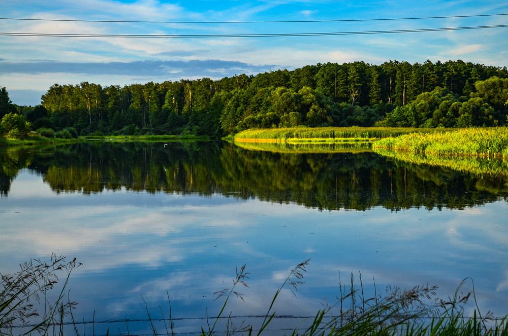 Photograph by Дарья Миронова