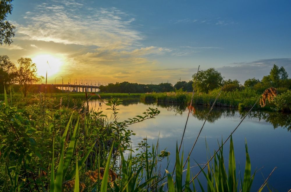 Photograph by Дарья Миронова