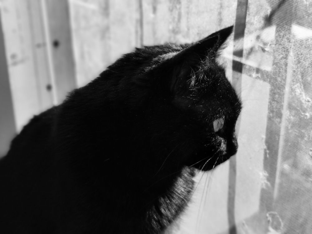 Photograph by Алексей Тарасов