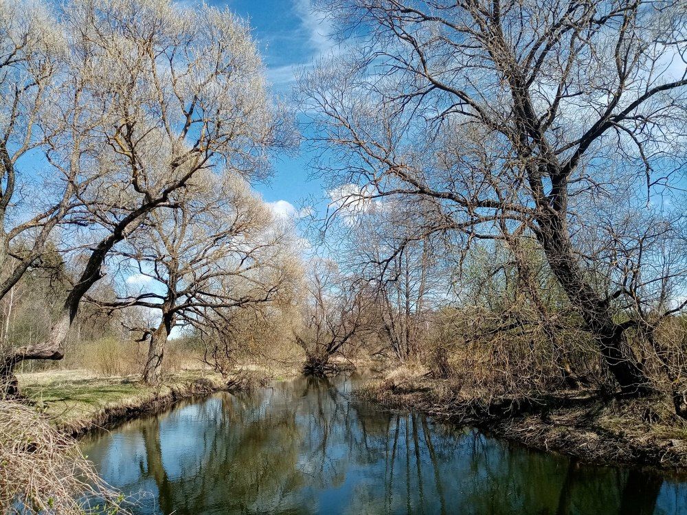 Photograph by Veronica Kravchonok