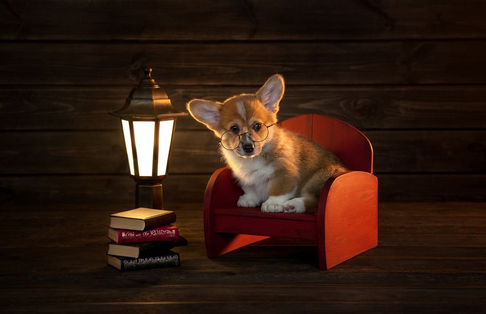 Photograph by Ольга Смирнова