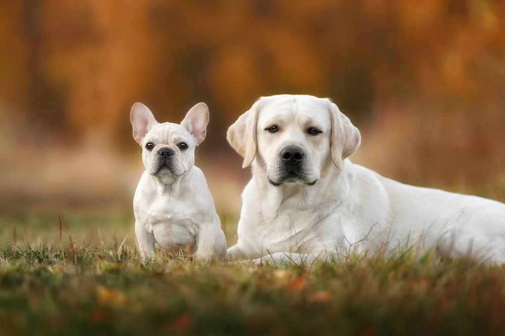 Photograph by Ольга Смирнова