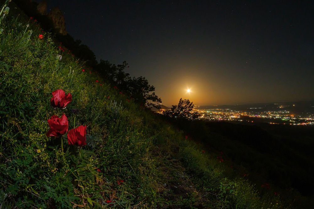 Photograph by Владимир Ганзиков