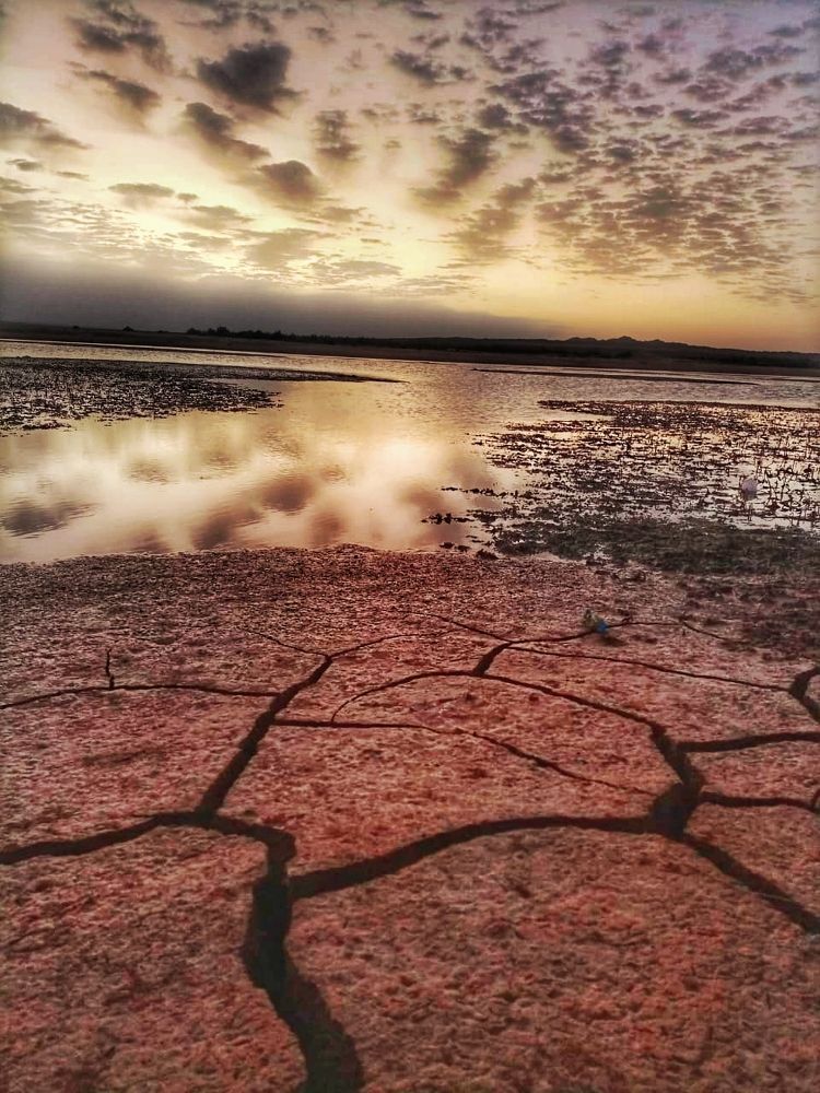 Photograph by Almotasem