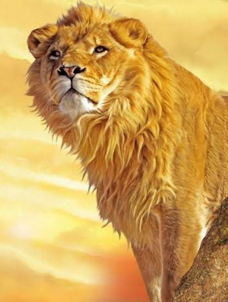 Photograph by Waleed Khan