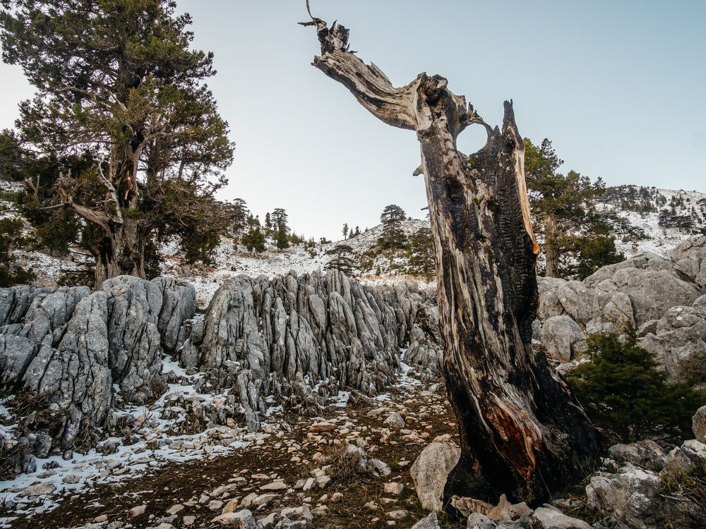 Photograph by Александр