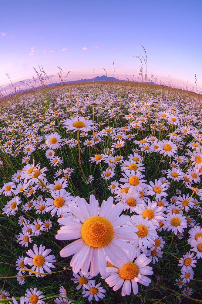 Photograph by Владимир Ганзиков