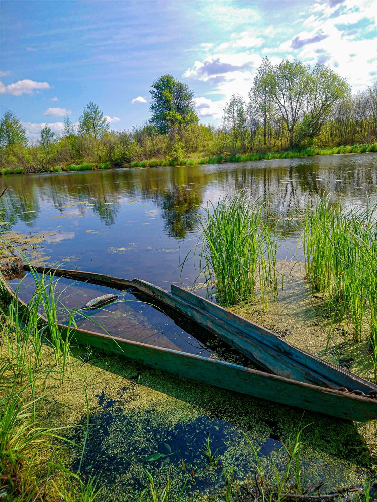 Photograph by Дарья Миронова