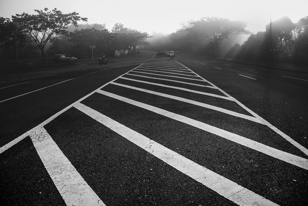 The Line of Actual Control : Zebra Line