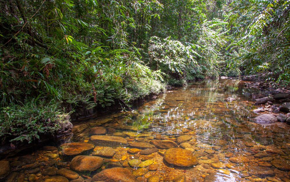 Photograph by Senadheera Danushka