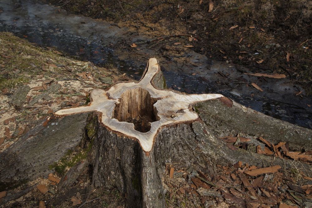 Смена поколений...!) Портрет...!