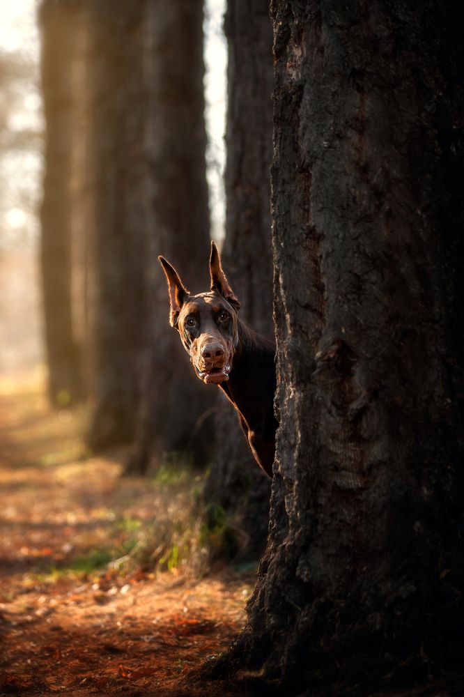 Photograph by Ольга Смирнова