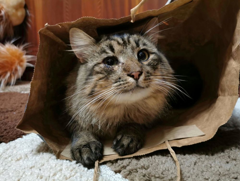 Photograph by Алексей Тарасов