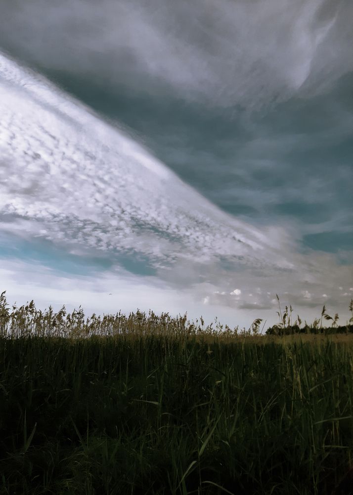 Photograph by TIMOFEY KARTOVENKO