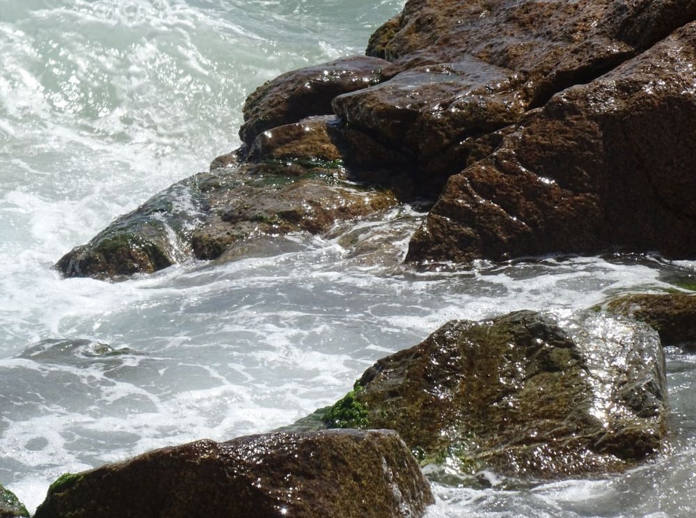 Photograph by Sona Sahakian