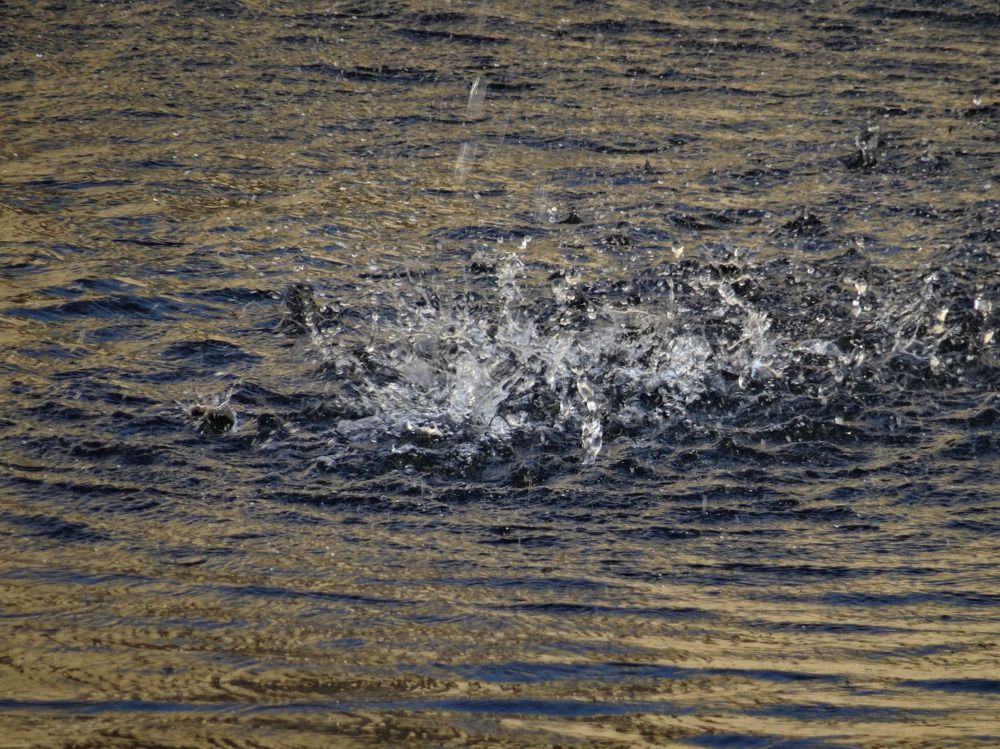 Photograph by Sona Sahakian